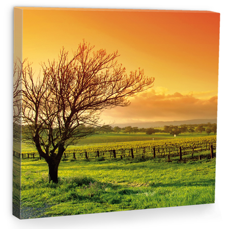 Standard Canvas Print